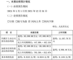 天原股份2021年净利同比预增逾4倍