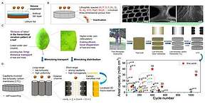 国家纳米科学中心李祥龙课题组在锂金属电池负极研究上取得新进展