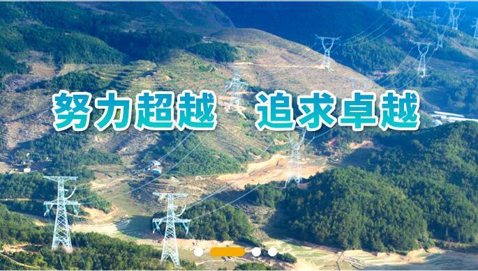 《人民日报》发表公司董事长、党组书记辛保安署名文章： 坚决扛牢电网责任 积极推进碳达峰碳中和