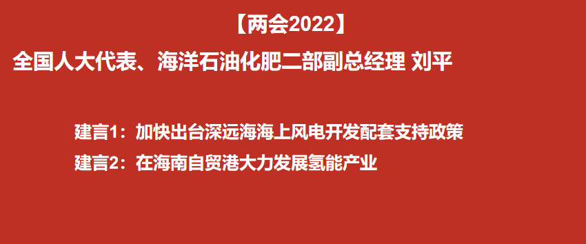 【两会2022】全国人大代表、海洋石油刘平：加快出台深远海海上风电开发配套支持政策