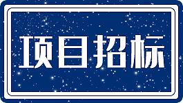 华能风光储基地项目规划方案技术服务二次招标