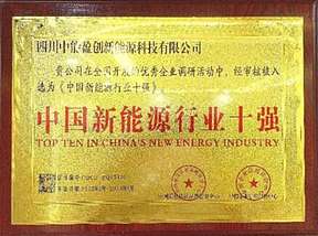 热烈祝贺中能盈创新能源科技荣获中国新能源行业十强荣誉