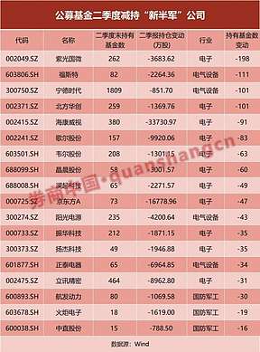 新能源被"抛弃"?"半军"接棒领跑市场，后市如何走?基金经理这样看