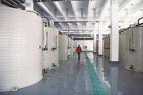 总书记发表关乎清洁能源发展重要讲话！