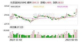 比亚迪股份有限公司董事长兼总裁王传福：打造新能源汽车王牌