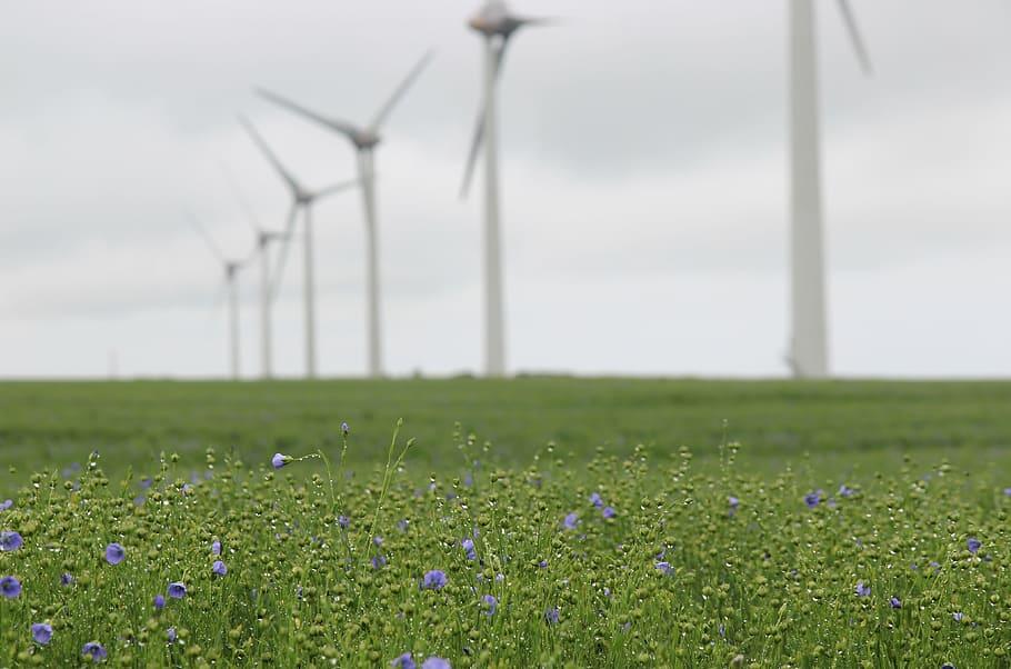 100MW/400MWh！瑞典Eolus公司在加州收购电池储能项目