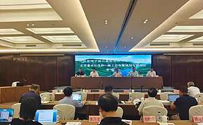 吉林靖宇抽水蓄能电站可研“三大专题”报告审查会议召开