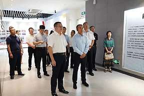 中广核眉山100MW/400MWh全钒液流储能示范电站项目成功匹配地块