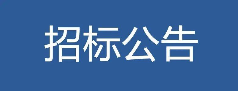 中广核电子商务平台发布中广核拉果错“零碳提锂”源网荷储示范项目光伏项目工程一标段EPC总承包招标公告