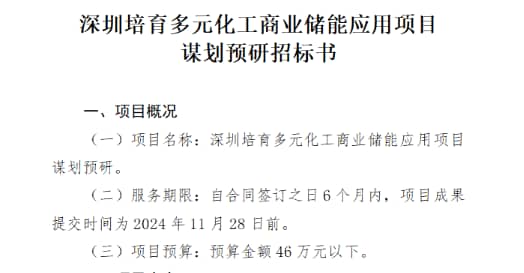 深圳启动多元化工商业储能应用项目预研招标