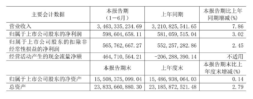 林洋能源2024半年报，净利润同比增长3.02%