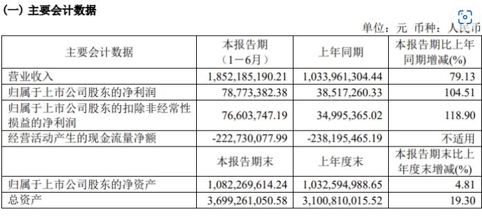 威腾电气2024年半年财报：净利润同比增长104.51%