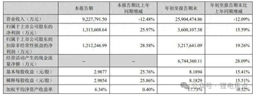 宁德时代：2024 年三季度的辉煌与挑战