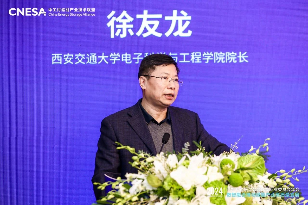 数智融合将成产业发展新引擎！2024中国能源研究会年会储能专题研讨会在京召开