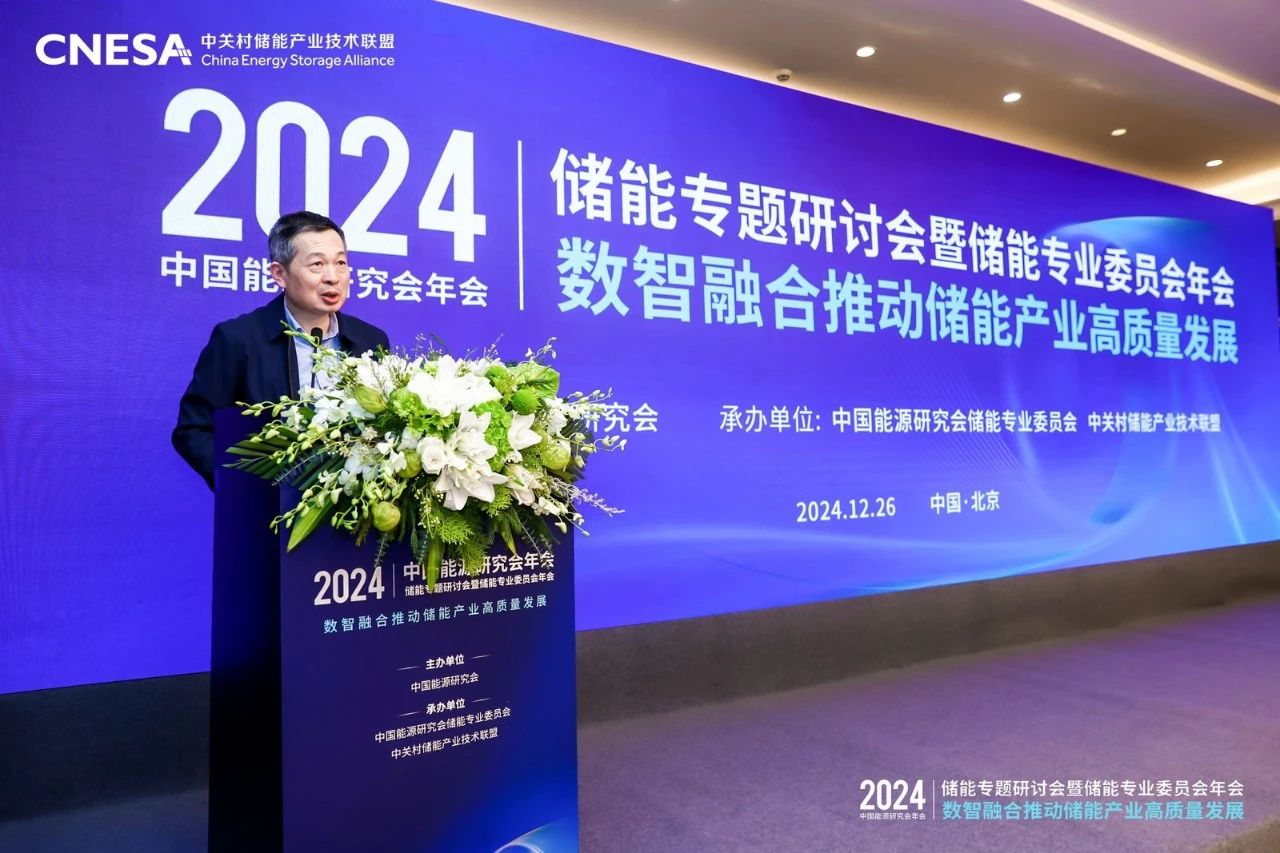 数智融合将成产业发展新引擎！2024中国能源研究会年会储能专题研讨会在京召开